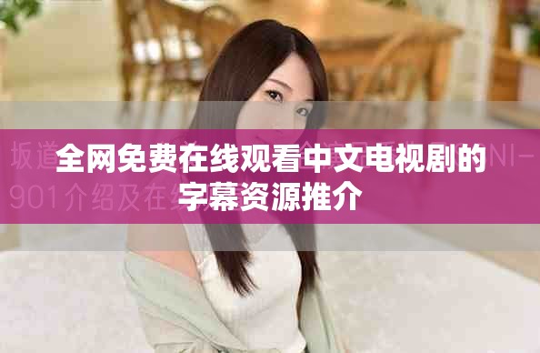 全网免费在线观看中文电视剧的字幕资源推介