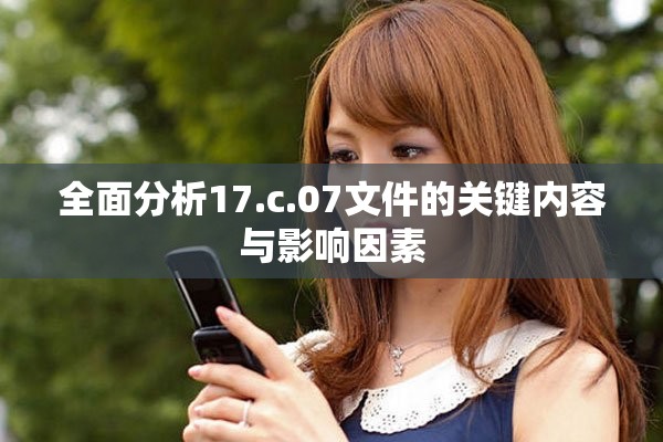 全面分析17.c.07文件的关键内容与影响因素