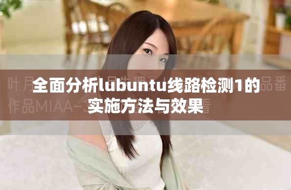 全面分析lubuntu线路检测1的实施方法与效果