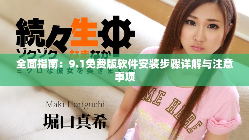 全面指南：9.1免费版软件安装步骤详解与注意事项