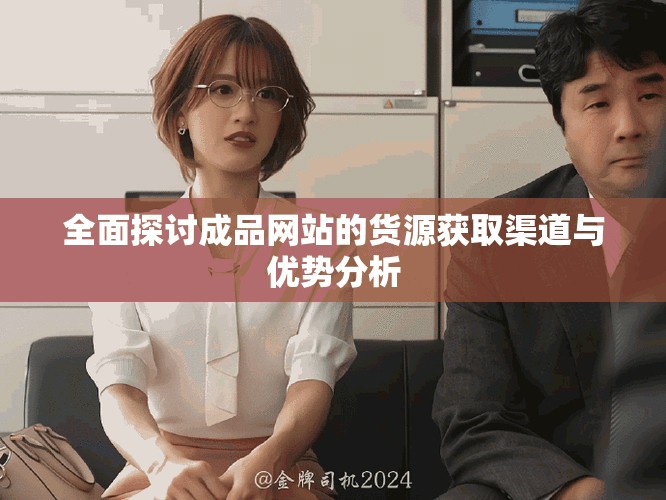 全面探讨成品网站的货源获取渠道与优势分析