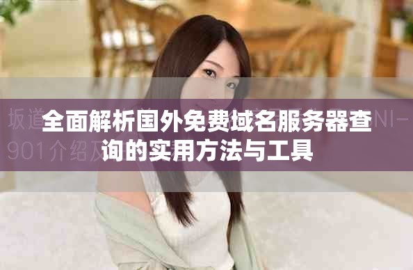 全面解析国外免费域名服务器查询的实用方法与工具