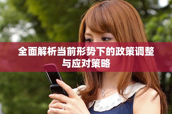 全面解析当前形势下的政策调整与应对策略