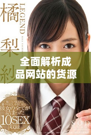 全面解析成品网站的货源获取途径与入门指南