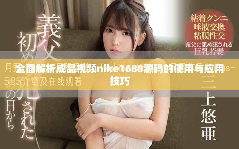全面解析成品视频nike1688源码的使用与应用技巧