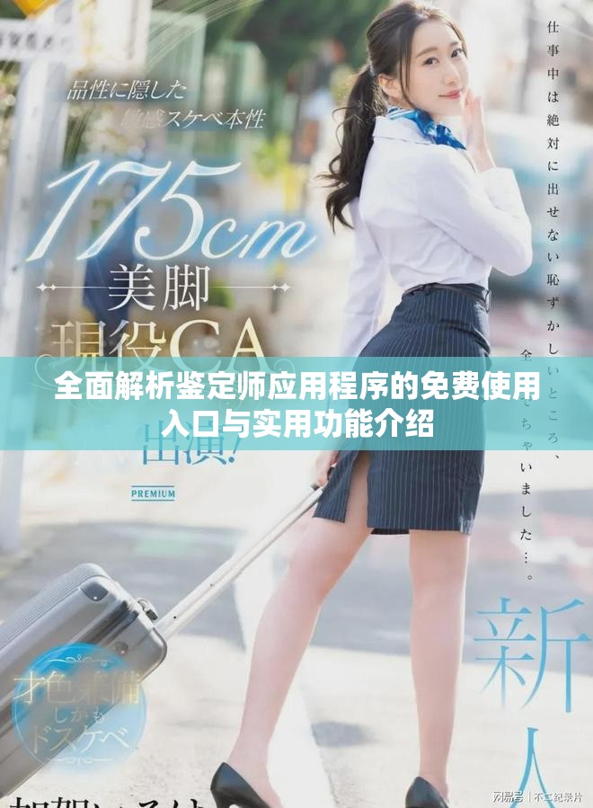 全面解析鉴定师应用程序的免费使用入口与实用功能介绍