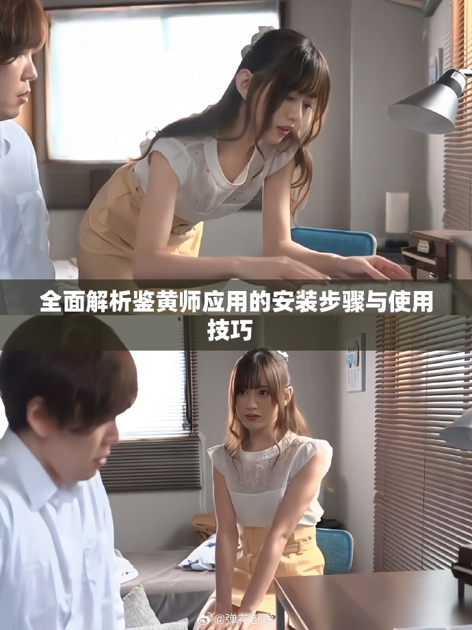 全面解析鉴黄师应用的安装步骤与使用技巧  