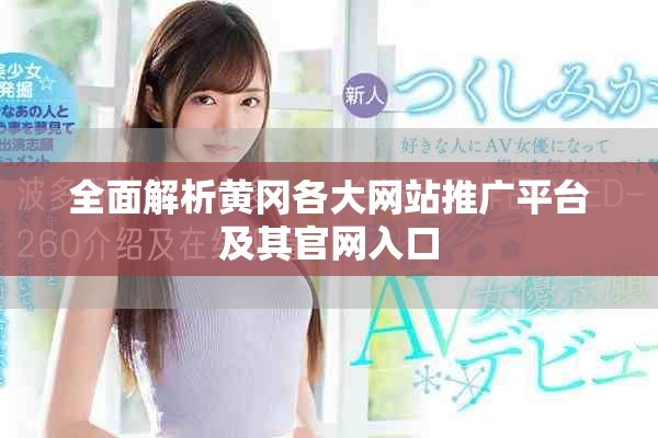 全面解析黄冈各大网站推广平台及其官网入口