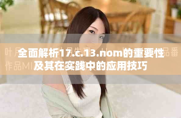 全面解析17.c.13.nom的重要性及其在实践中的应用技巧