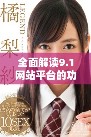 全面解读9.1网站平台的功能与优势助力数字化转型