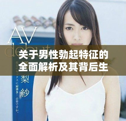 关于男性勃起特征的全面解析及其背后生理机制探讨