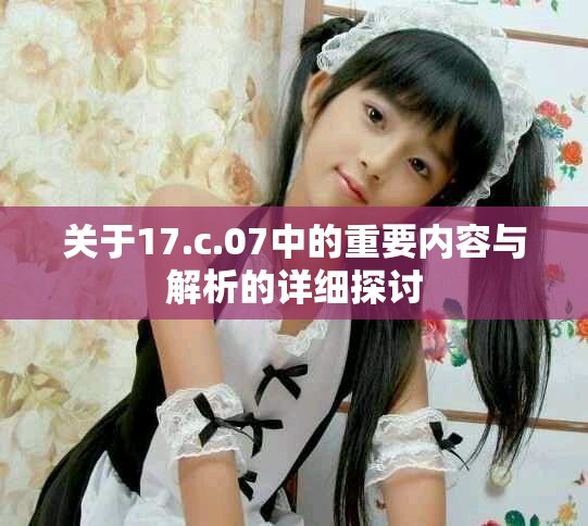 关于17.c.07中的重要内容与解析的详细探讨