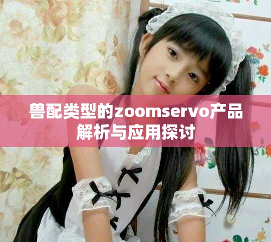 兽配类型的zoomservo产品解析与应用探讨