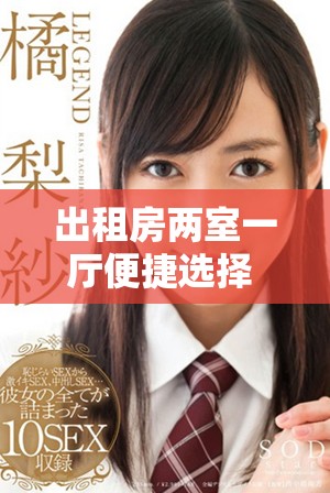 出租房两室一厅便捷选择 满足居住需求的新生活方式