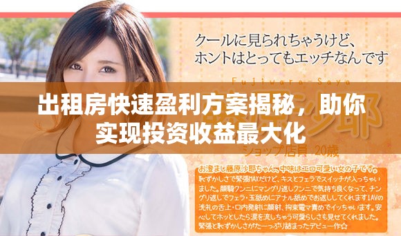 出租房快速盈利方案揭秘，助你实现投资收益最大化