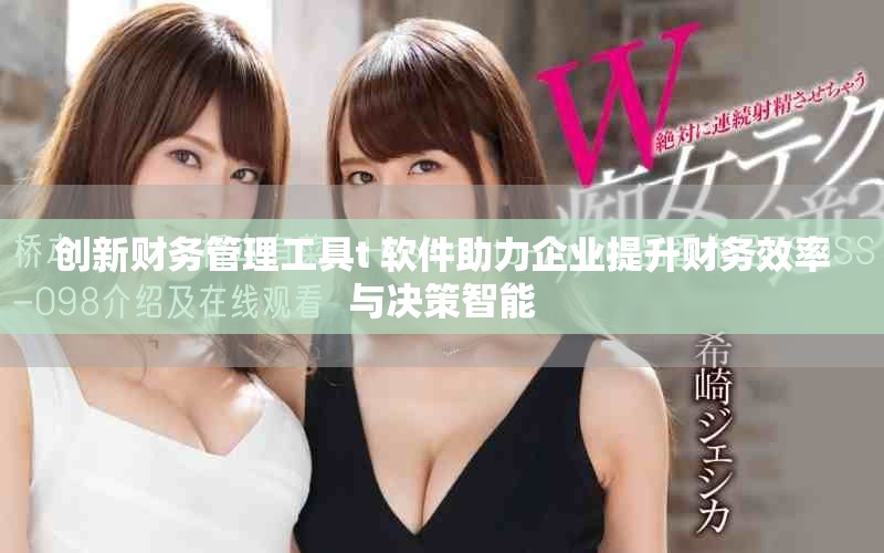 创新财务管理工具t+软件助力企业提升财务效率与决策智能