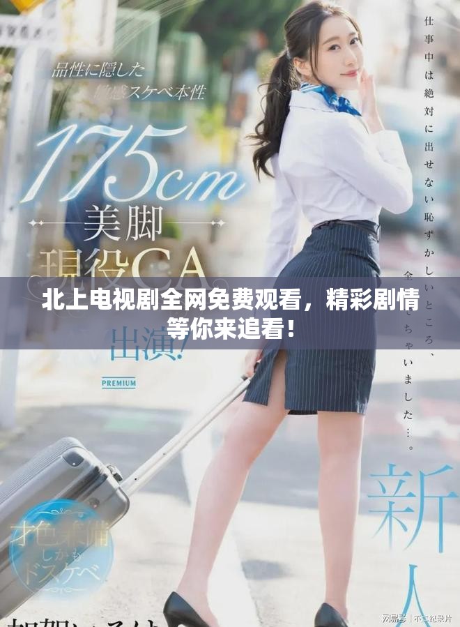 北上电视剧全网免费观看，精彩剧情等你来追看！