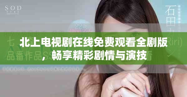 北上电视剧在线免费观看全剧版，畅享精彩剧情与演技