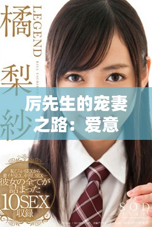 厉先生的宠妻之路：爱意满满的幸福生活新篇章