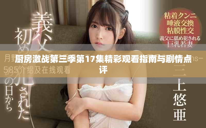 厨房激战第三季第17集精彩观看指南与剧情点评