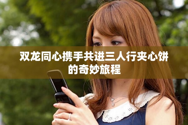 双龙同心携手共进三人行夹心饼的奇妙旅程