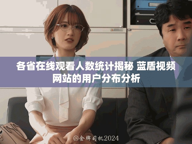 各省在线观看人数统计揭秘 蓝盾视频网站的用户分布分析