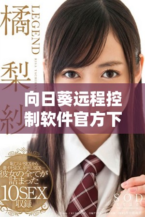向日葵远程控制软件官方下载安装指南及注意事项详解