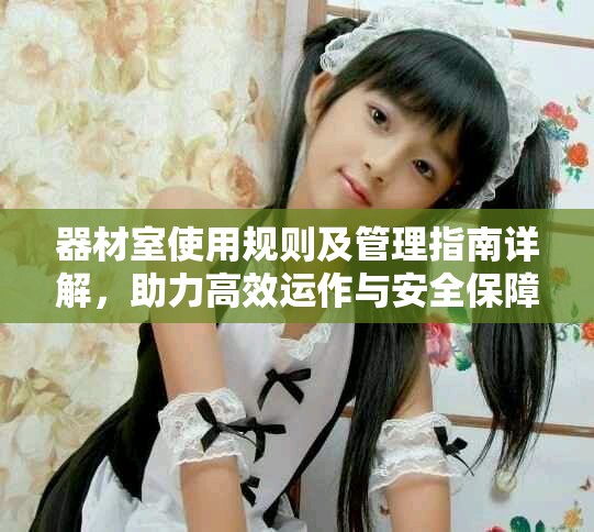 器材室使用规则及管理指南详解，助力高效运作与安全保障