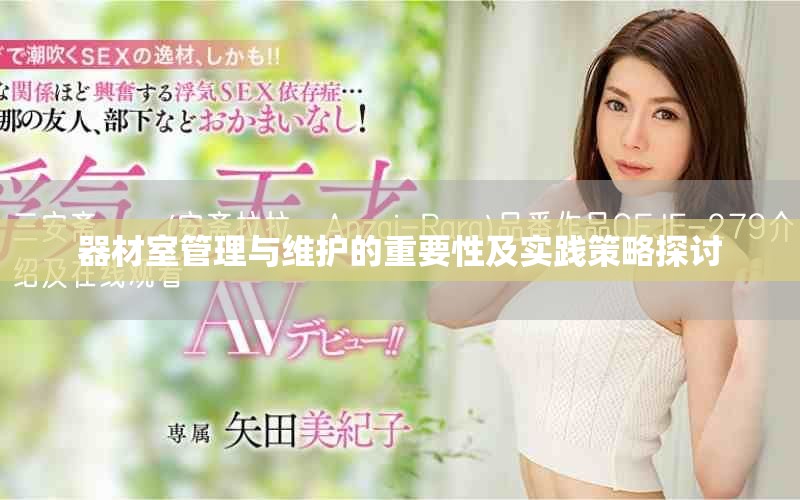 器材室管理与维护的重要性及实践策略探讨