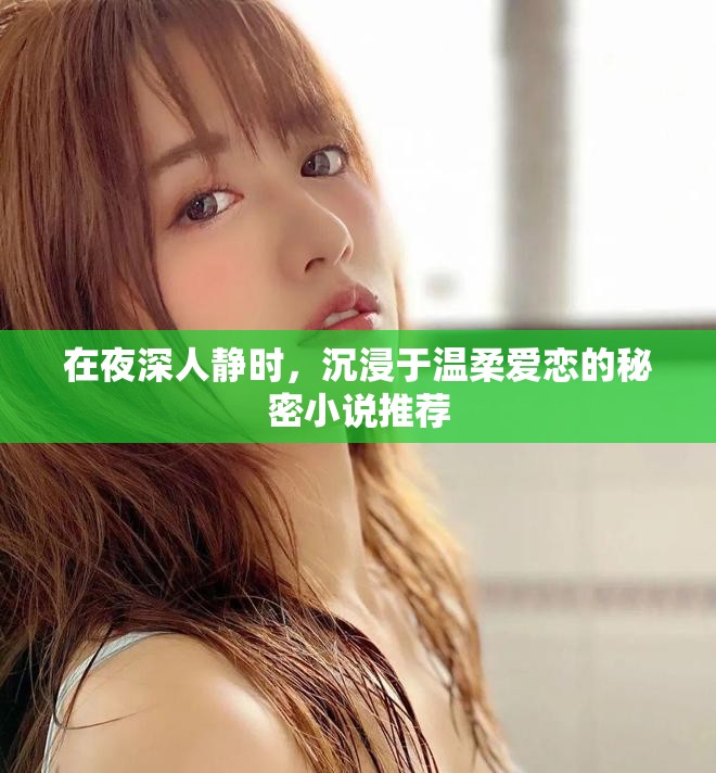 在夜深人静时，沉浸于温柔爱恋的秘密小说推荐
