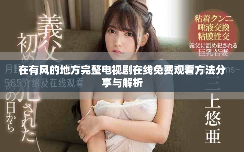 在有风的地方完整电视剧在线免费观看方法分享与解析