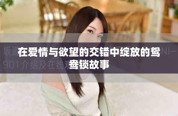 在爱情与欲望的交错中绽放的鸳鸯锁故事