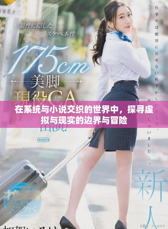 在系统与小说交织的世界中，探寻虚拟与现实的边界与冒险
