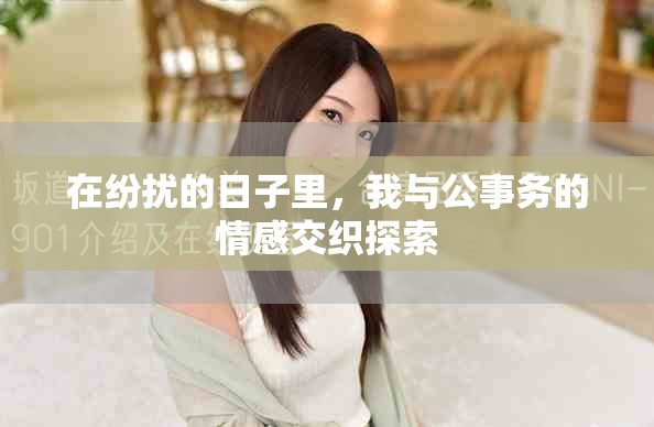 在纷扰的日子里，我与公事务的情感交织探索