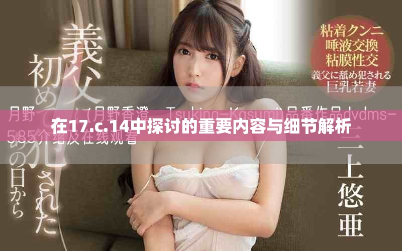 在17.c.14中探讨的重要内容与细节解析