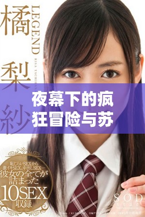 夜幕下的疯狂冒险与苏柔的心灵挣扎完整故事解析