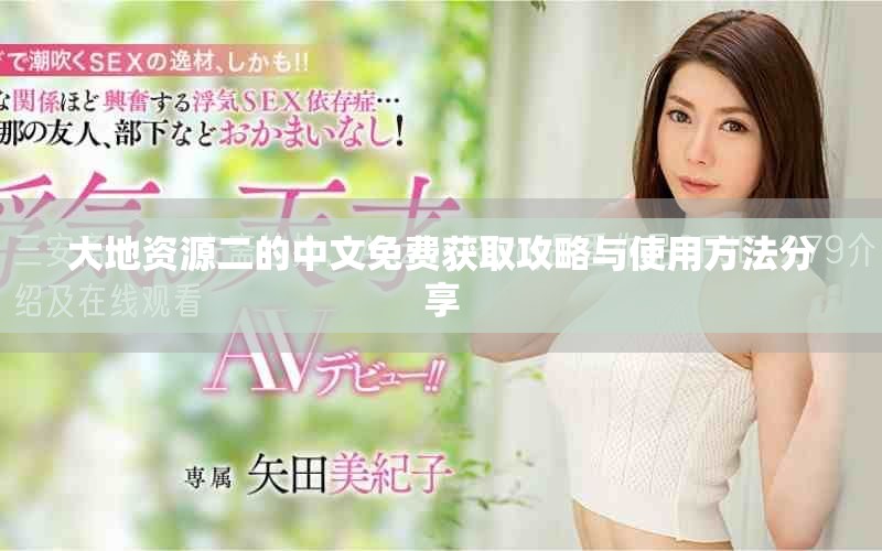大地资源二的中文免费获取攻略与使用方法分享