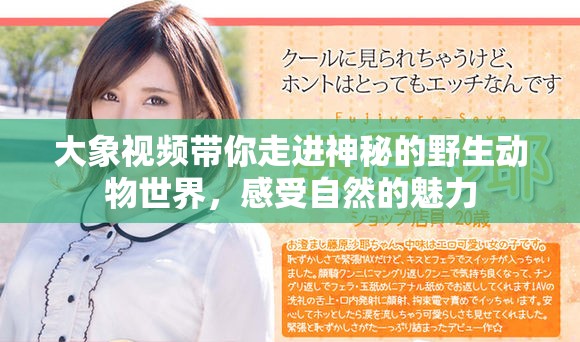 大象视频带你走进神秘的野生动物世界，感受自然的魅力