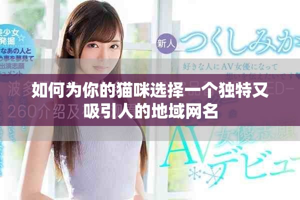 如何为你的猫咪选择一个独特又吸引人的地域网名