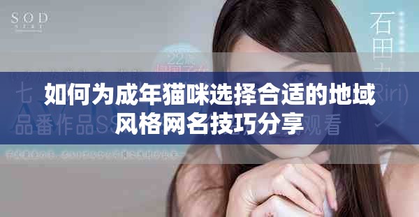 如何为成年猫咪选择合适的地域风格网名技巧分享