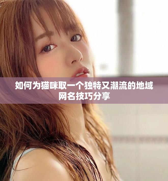 如何为猫咪取一个独特又潮流的地域网名技巧分享