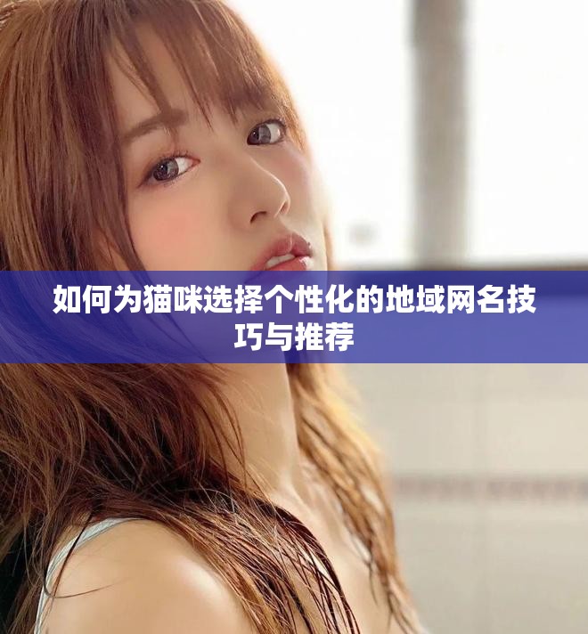 如何为猫咪选择个性化的地域网名技巧与推荐