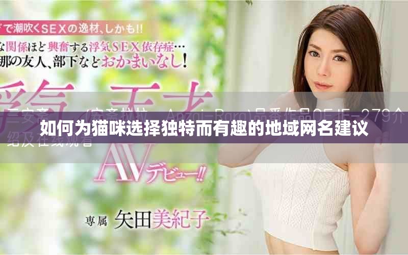 如何为猫咪选择独特而有趣的地域网名建议