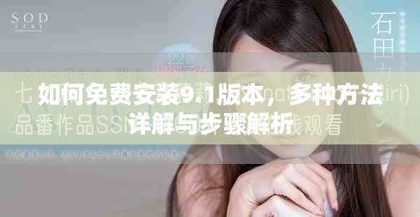 如何免费安装9.1版本，多种方法详解与步骤解析