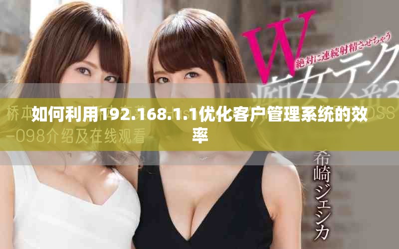 如何利用192.168.1.1优化客户管理系统的效率