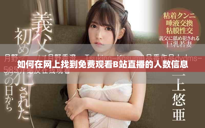 如何在网上找到免费观看B站直播的人数信息