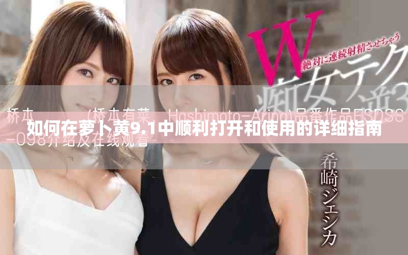 如何在萝卜黄9.1中顺利打开和使用的详细指南