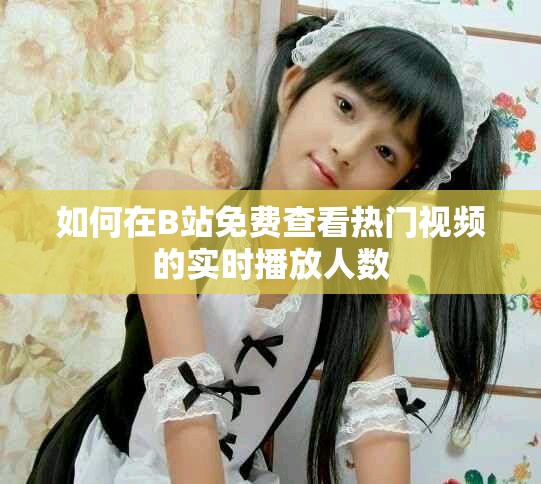 如何在B站免费查看热门视频的实时播放人数
