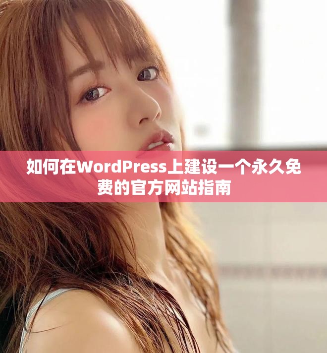 如何在WordPress上建设一个永久免费的官方网站指南