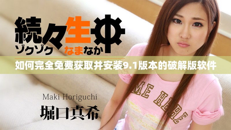 如何完全免费获取并安装9.1版本的破解版软件